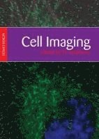 Cell Imaging 1
