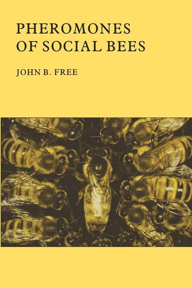 bokomslag Pheromones of Social Bees