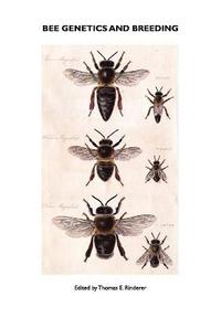 bokomslag Bee Genetics and Breeding