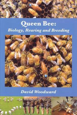 Queen Bee 1