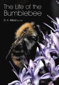 bokomslag The Life of the bumblebee
