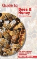 bokomslag Guide to Bees & Honey