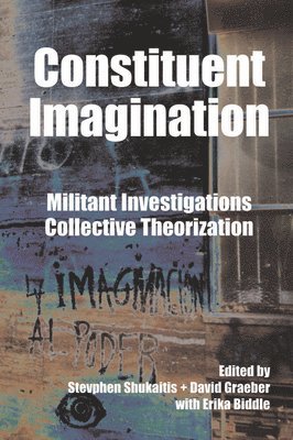 bokomslag Constituent Imagination