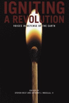 Igniting A Revolution 1