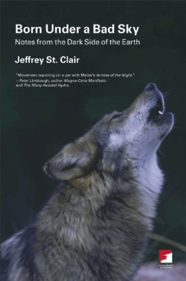 Jeffrey St Clair - Born Under a Bad Sky, Häftad