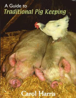 Guide to Traditional Pig Keeping