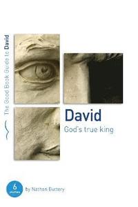 bokomslag David: God's True King