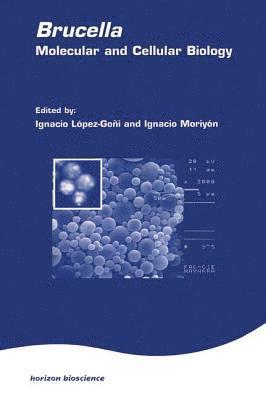 bokomslag Brucella:Molecular & Cell Biol