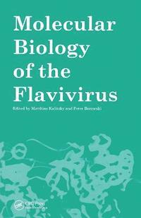 bokomslag Molecular Biology of the Flavivirus