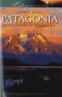 bokomslag Patagonia
