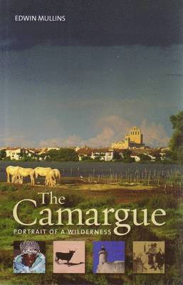 bokomslag Camargue