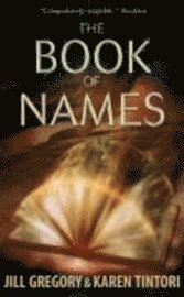 bokomslag Book Of Names