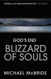 bokomslag Blizzard of Souls
