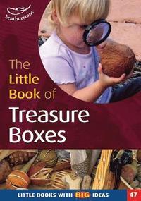 bokomslag Little Book of Treasure Boxes