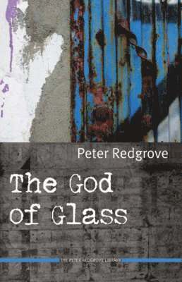 bokomslag The God of Glass