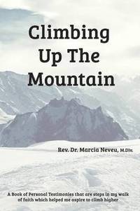 bokomslag Climbing Up the Mountain - Revised