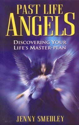 bokomslag Past Life Angels