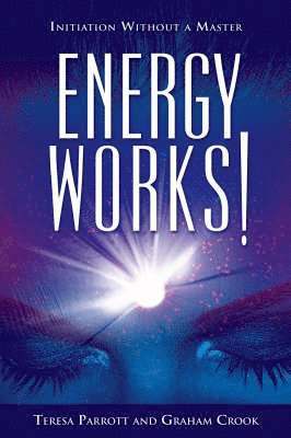 bokomslag Energy Works!