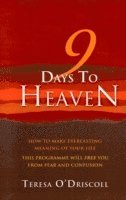 bokomslag 9 Days to Heaven - How to make everlasting meaning of your life