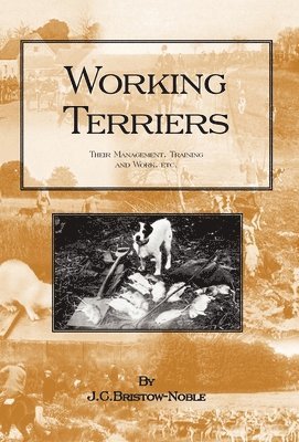 WORKING TERRIERS - Their Management, Training and Work, Etc. 1