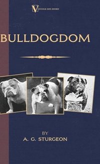 bokomslag Bulldogdom (A Vintage Dog Books Bulldog Classic - Bulldogs)