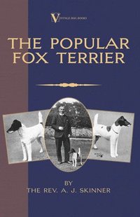bokomslag Popular Fox Terrier (Vintage Dog Books Breed Classic - Smooth Haired + Wire Fox Terrier)