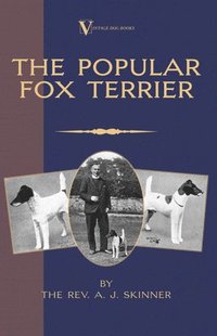 bokomslag The Popular Fox Terrier (Vintage Dog Books Breed Classic - Smooth Haired + Wire Fox Terrier)
