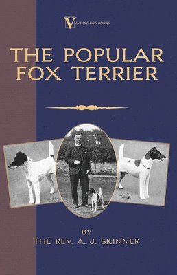 bokomslag Popular Fox Terrier (Vintage Dog Books Breed Classic - Smooth Haired + Wire Fox Terrier)