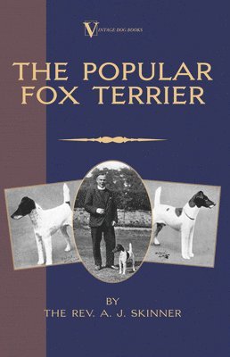 The Popular Fox Terrier (Vintage Dog Books Breed Classic - Smooth Haired + Wire Fox Terrier) 1