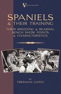 bokomslag Spaniels And Their Training - Their Breeding And Rearing, Bench Show Points And Characteristics (A Vintage Dog Books Breed Classic)