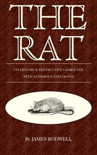 bokomslag The Rat; Its History & Destructive Character