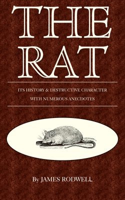 bokomslag Rat; Its History & Destructive Character