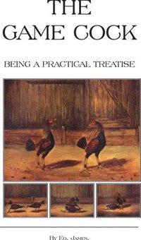bokomslag The Game Cock - Being a Practical Treatise on Breeding, Rearing, Training, Feeding, Trimming, Mains, Heeling, Spurs, Etc. (History of Cockfighting Series)