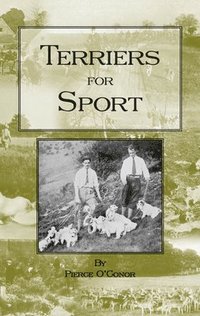bokomslag Terriers for Sport (History of Hunting Series - Terrier Earth Dogs)