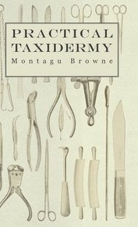 bokomslag Practical Taxidermy - A Manual of Instruction To The Amateur In Collecting, Preserving, And Setting Up Natural History Specimens of All Kinds