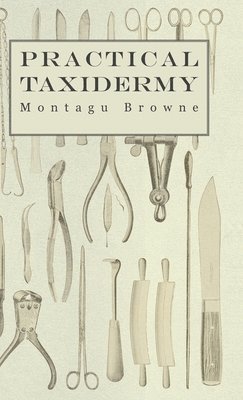 Practical Taxidermy - A Manual of Instruction To The Amateur In Collecting, Preserving, And Setting Up Natural History Specimens of All Kinds 1