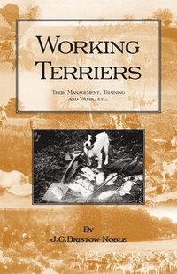 bokomslag WORKING TERRIERS - Their Management, Training and Work, Etc. (HISTORY OF HUNTING SERIES -TERRIER DOGS)