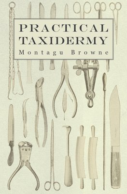 Montagu Browne - Practical Taxidermy - A Manual of Instruction To The Amateur In Collecting, Preserving, And Setting Up Natural History Specimens of All Kinds, Häftad