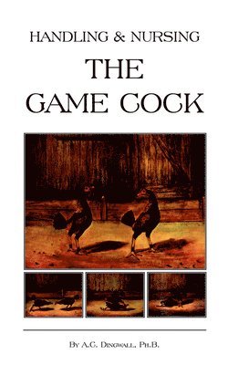 Handling and Nursing the Game Cock (History of Cockfighting Series) 1