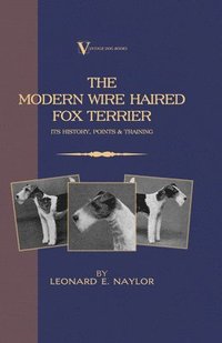 bokomslag The Modern Wire Haired Fox Terrier - Its History, Points & Training (A Vintage Dog Books Breed Classic)