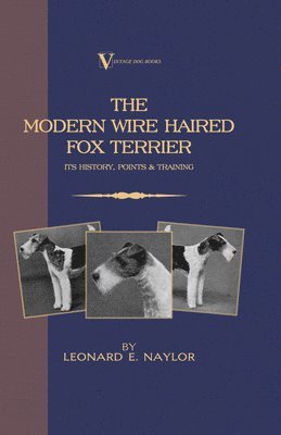 bokomslag The Modern Wire Haired Fox Terrier - Its History, Points & Training (A Vintage Dog Books Breed Classic)