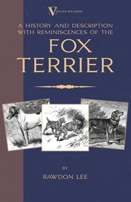 A History and Description, With Reminiscences, of the Fox Terrier (A Vintage Dog Books Breed Classic - Terriers) 1