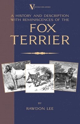 bokomslag History and Description, with Reminiscences, of the Fox Terrier (A Vintage Dog Books Breed Classic - Terriers)