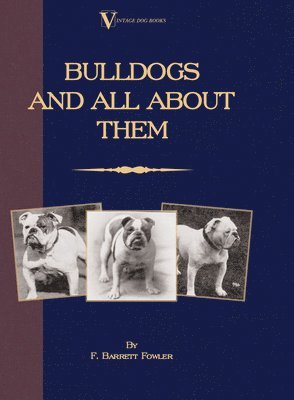 bokomslag Bulldogs and All About Them (A Vintage Dog Books Breed Classic - Bulldog / French Bulldog)