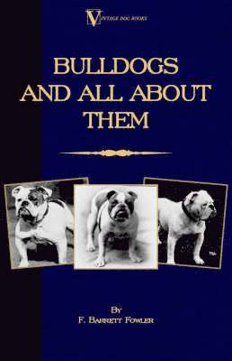 bokomslag Bulldogs and All About Them (A Vintage Dog Books Breed Classic - Bulldog / French Bulldog)