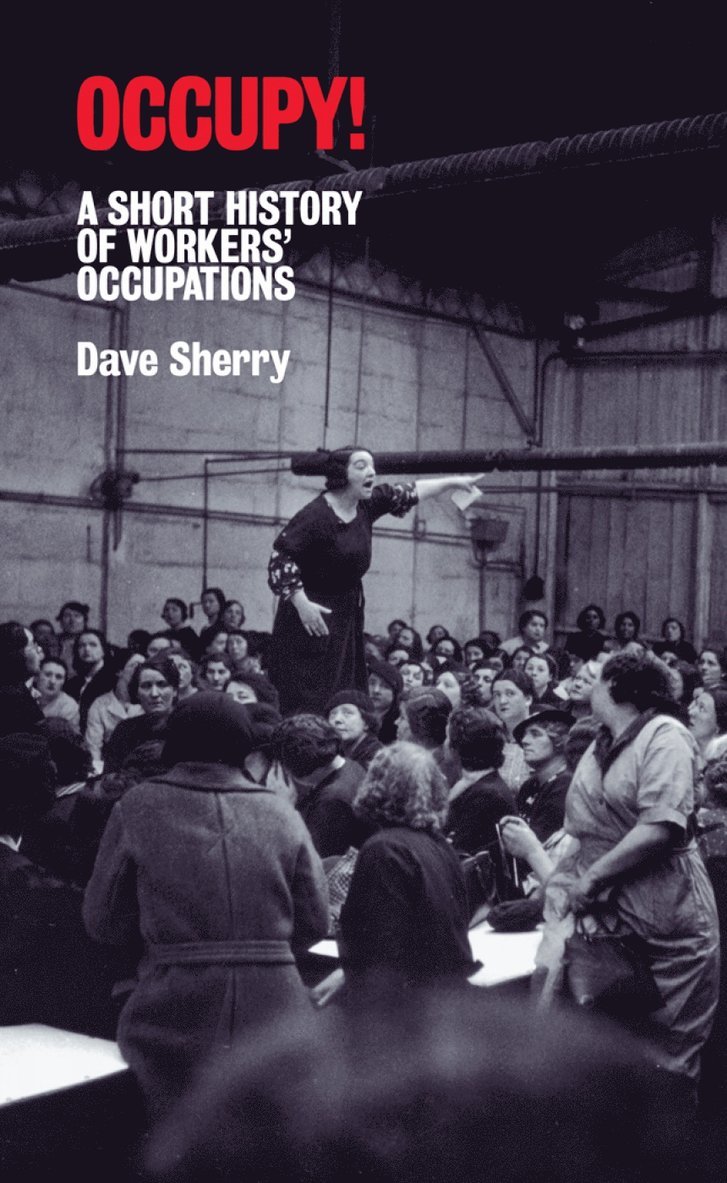 Dave Sherry - Occupy!, Häftad