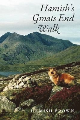 bokomslag Hamish's Groats End Walk: One Man and His Dog on a Hill Route Through Britain and Ireland