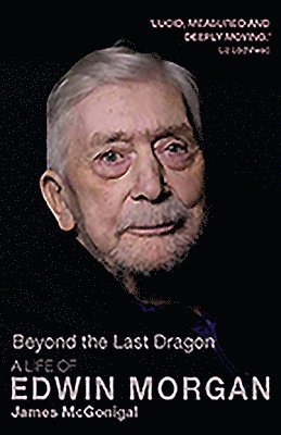 bokomslag Beyond the Last Dragon