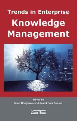 Imed Boughzala, Jean-Louis Ermine - Trends in Enterprise Knowledge Management, Inbunden