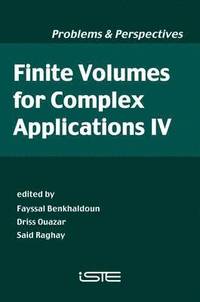 bokomslag Finite Volumes for Complex Applications IV